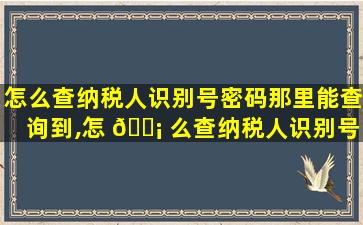 怎么查纳税人识别号密码那里能查询到,怎 🐡 么查纳税人识别号密码那里能查询到信 🐎 息